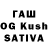 APVP VHQ Nataha Zitoreva