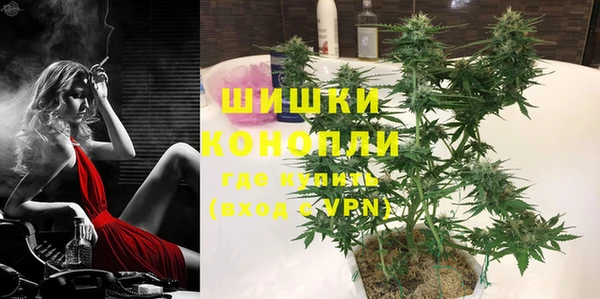 ПСИЛОЦИБИНОВЫЕ ГРИБЫ Белокуриха