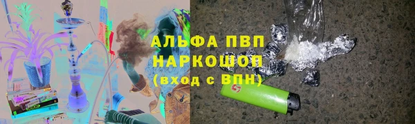 ПСИЛОЦИБИНОВЫЕ ГРИБЫ Белокуриха