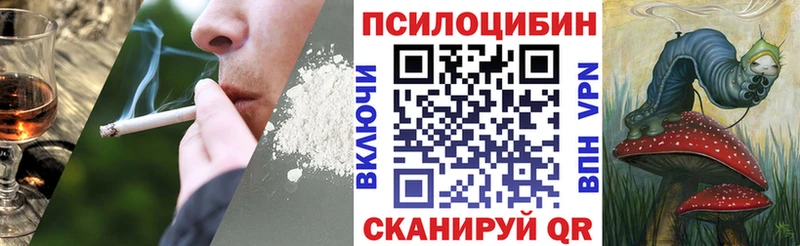 Псилоцибиновые грибы Psilocybine cubensis Рыбинск