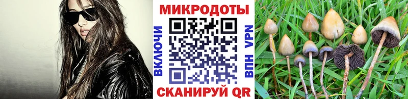 Галлюциногенные грибы прущие грибы  Рыбинск 