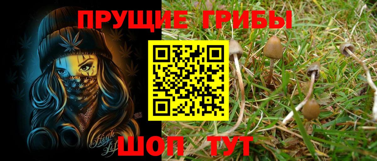 Галлюциногенные грибы Cubensis Рыбинск